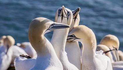 【盈警】泰林科建(06193.HK)料中期盈转亏约420万人民币