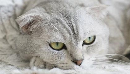 【盈警】第七大道(00797.HK)料中期盈转亏约500万人民币