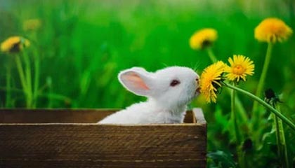 响水农村商业银行宣传推广数字人民币