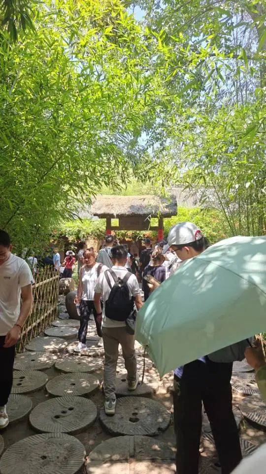 实探印乐任20年方丈的白马寺：基本无商业元素，每天免费供应60余桶水，游客在茶舍大排长龙