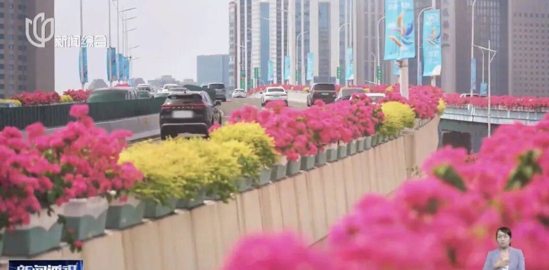 上海人快抬头!高架上这幕被刷爆!有人吐槽太浪费?这笔开销算明白了