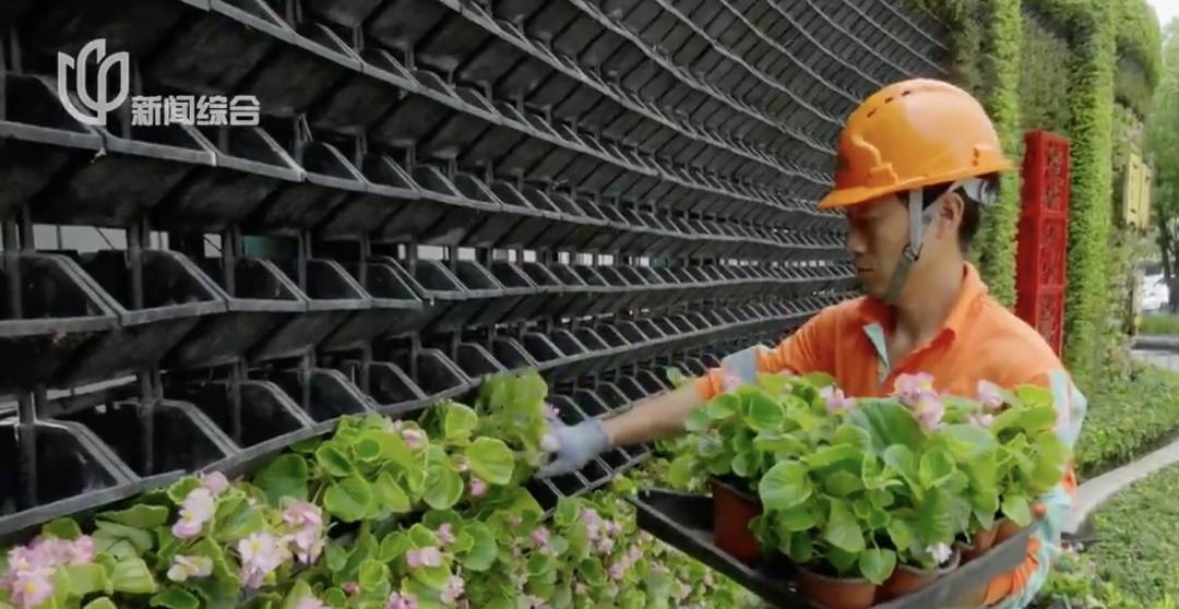 上海人快抬头!高架上这幕被刷爆!有人吐槽太浪费?这笔开销算明白了