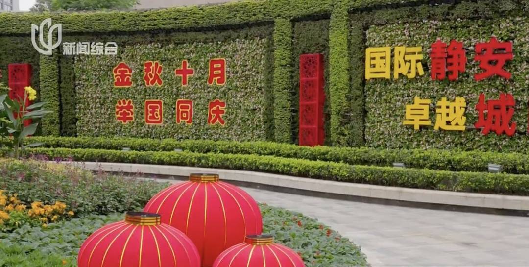 上海人快抬头!高架上这幕被刷爆!有人吐槽太浪费?这笔开销算明白了