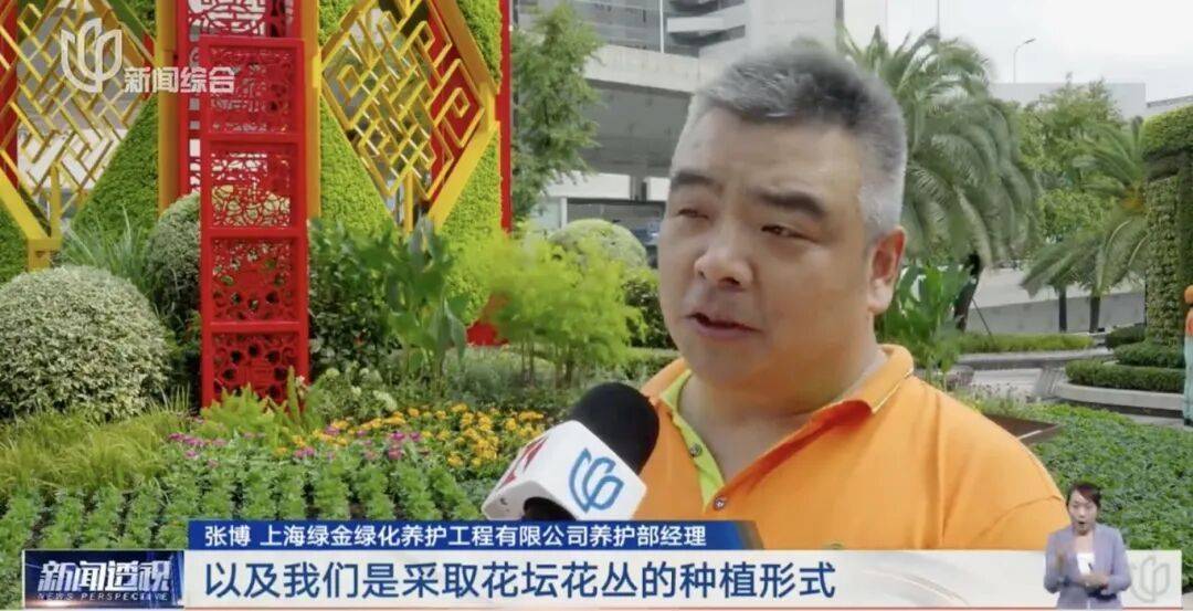 上海人快抬头!高架上这幕被刷爆!有人吐槽太浪费?这笔开销算明白了