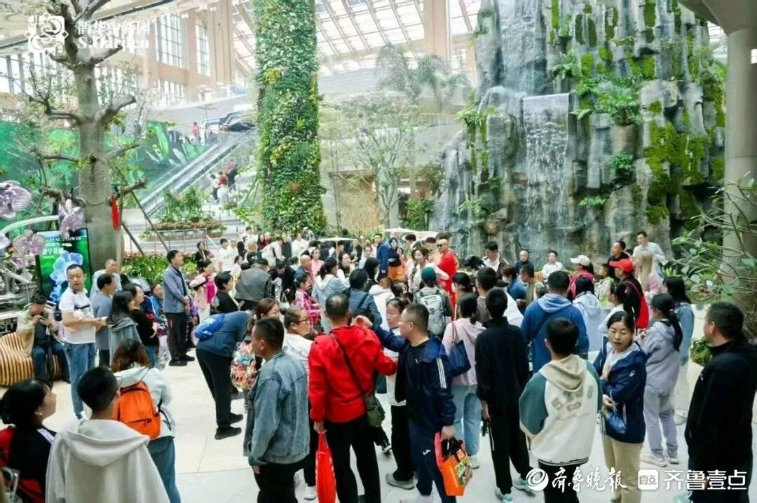 活力起步｜从狮城到泉城，鹊山生态文化区凭“南洋风”成文旅黑马