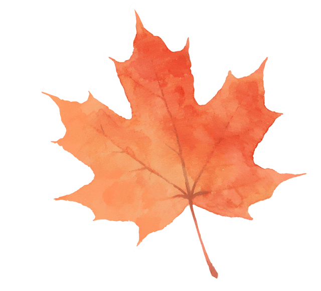 最高35℃！未来，厦门天气将持续……