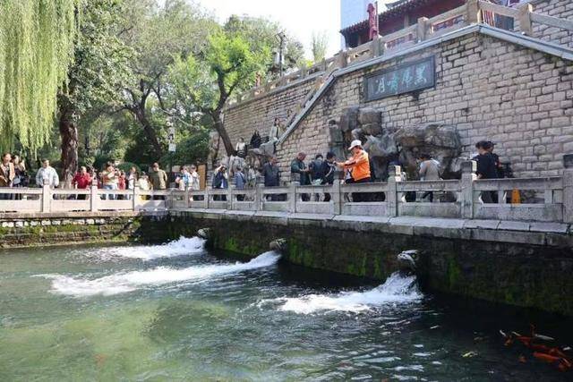 黑虎泉喷得“兽头”都不够用了！济南群泉竞涌，几十年一见