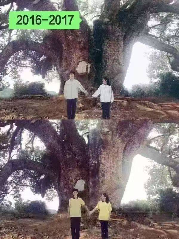 岳阳情侣连续9年在家乡千年古樟树下合影，今年国庆终修正果：希望爱情像古树一样长久