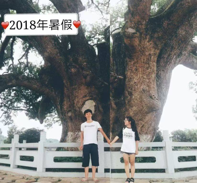 岳阳情侣连续9年在家乡千年古樟树下合影，今年国庆终修正果：希望爱情像古树一样长久