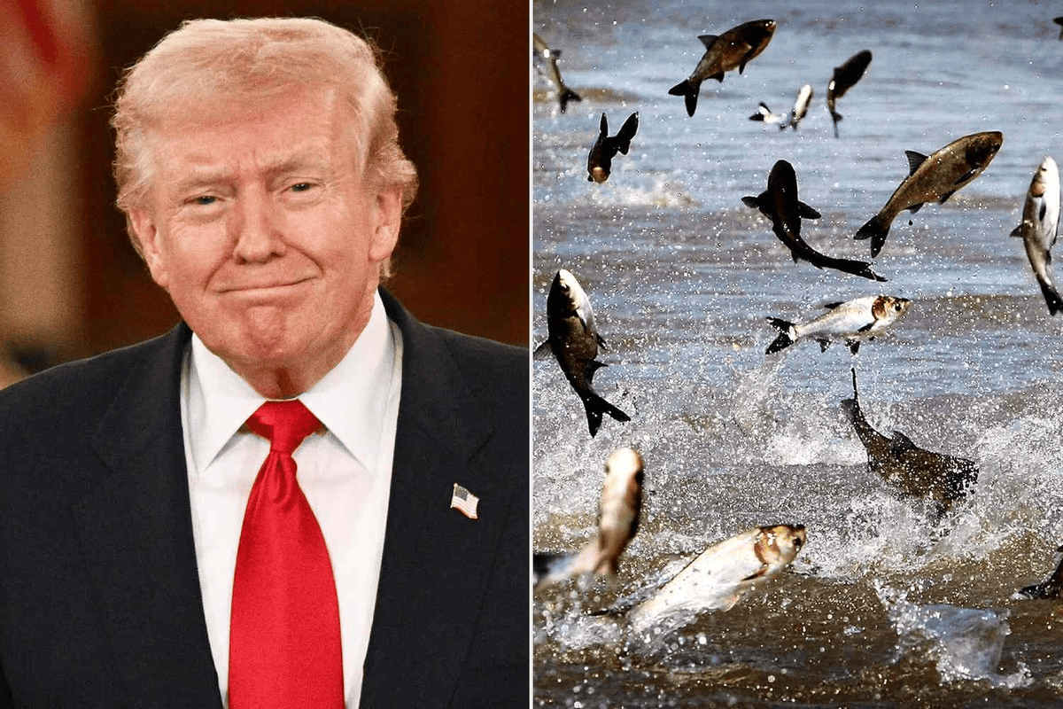 特朗普又有了新敌人!高调宣战亚洲鲤鱼,这次总不能再输了