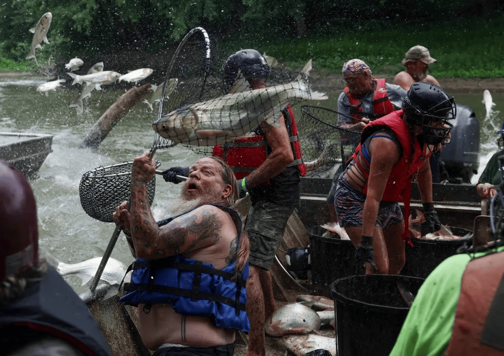 特朗普又有了新敌人!高调宣战亚洲鲤鱼,这次总不能再输了